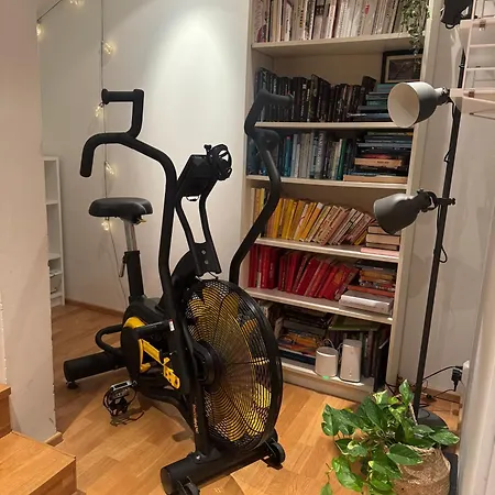 Atmospheric With Sauna Rovaniemi